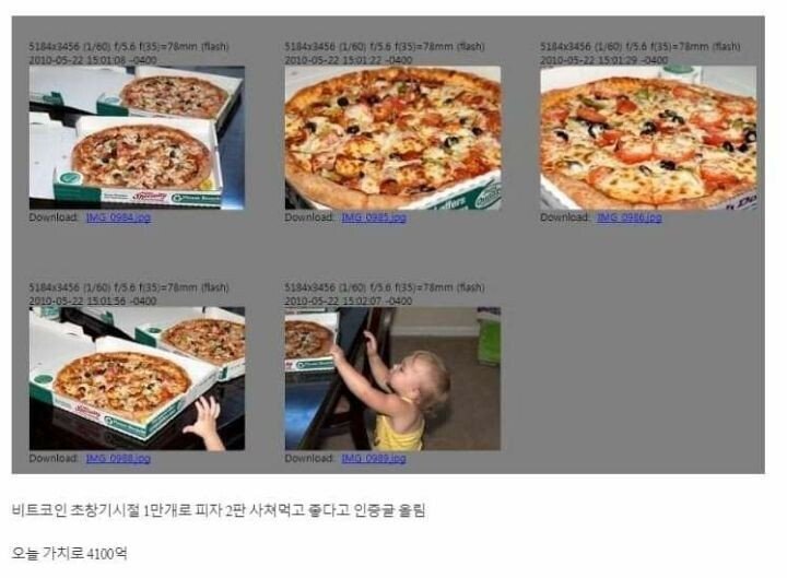 1611241158927.JPEG 비트코인 1만개로 피자 먹은 사람 근황