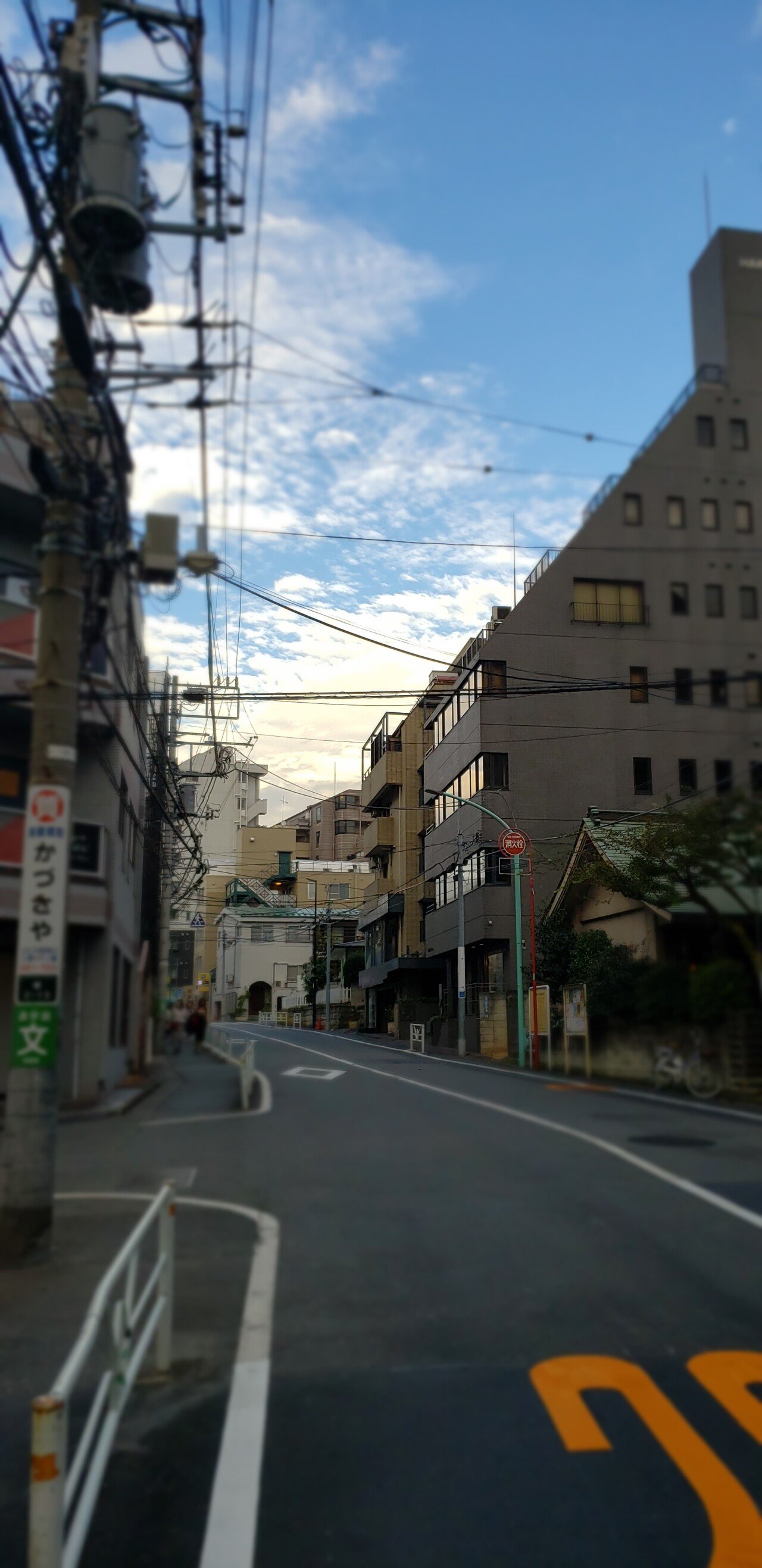 20201107_152953.jpg 너무나도 예쁜 요즘 도쿄 하늘..jpg