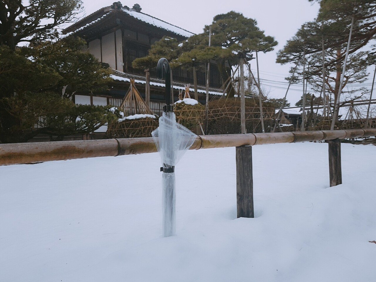 O2Cam_20190129141333.jpg 눈으로 덮인 겨울 니가타&나가노 여행기(1) (스압?)