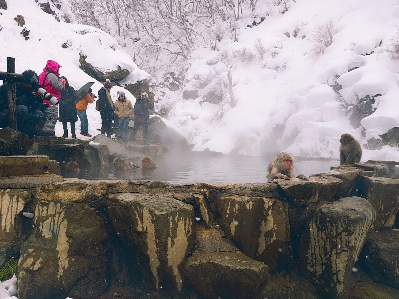 O2Cam_20190131140643.jpg 눈으로 덮인 겨울 니가타&나가노 여행기(2) (스압?)