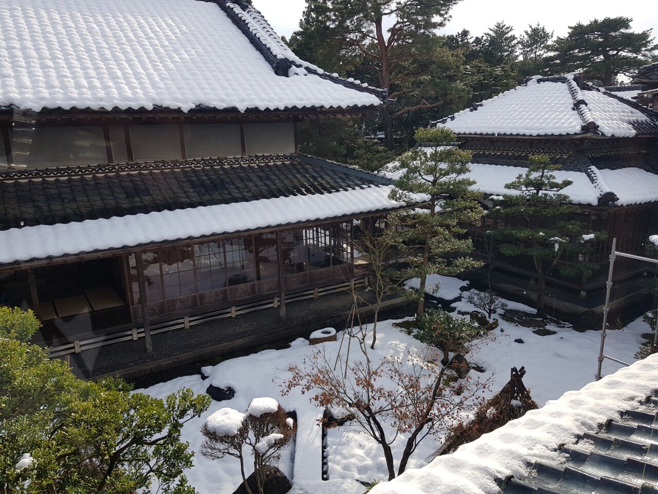 20190129_135213.jpg 눈으로 덮인 겨울 니가타&나가노 여행기(1) (스압?)