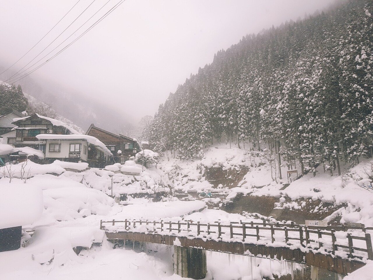 O2Cam_20190131135237.jpg 눈으로 덮인 겨울 니가타&나가노 여행기(2) (스압?)