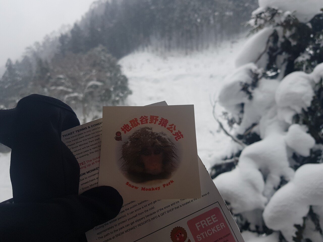 20190131_135935.jpg 눈으로 덮인 겨울 니가타&나가노 여행기(2) (스압?)