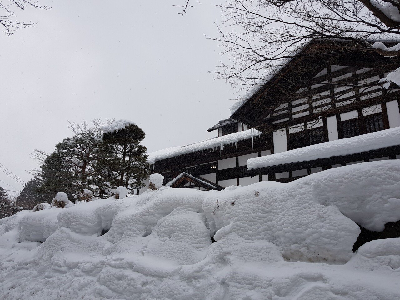 20190131_132022.jpg 눈으로 덮인 겨울 니가타&나가노 여행기(2) (스압?)