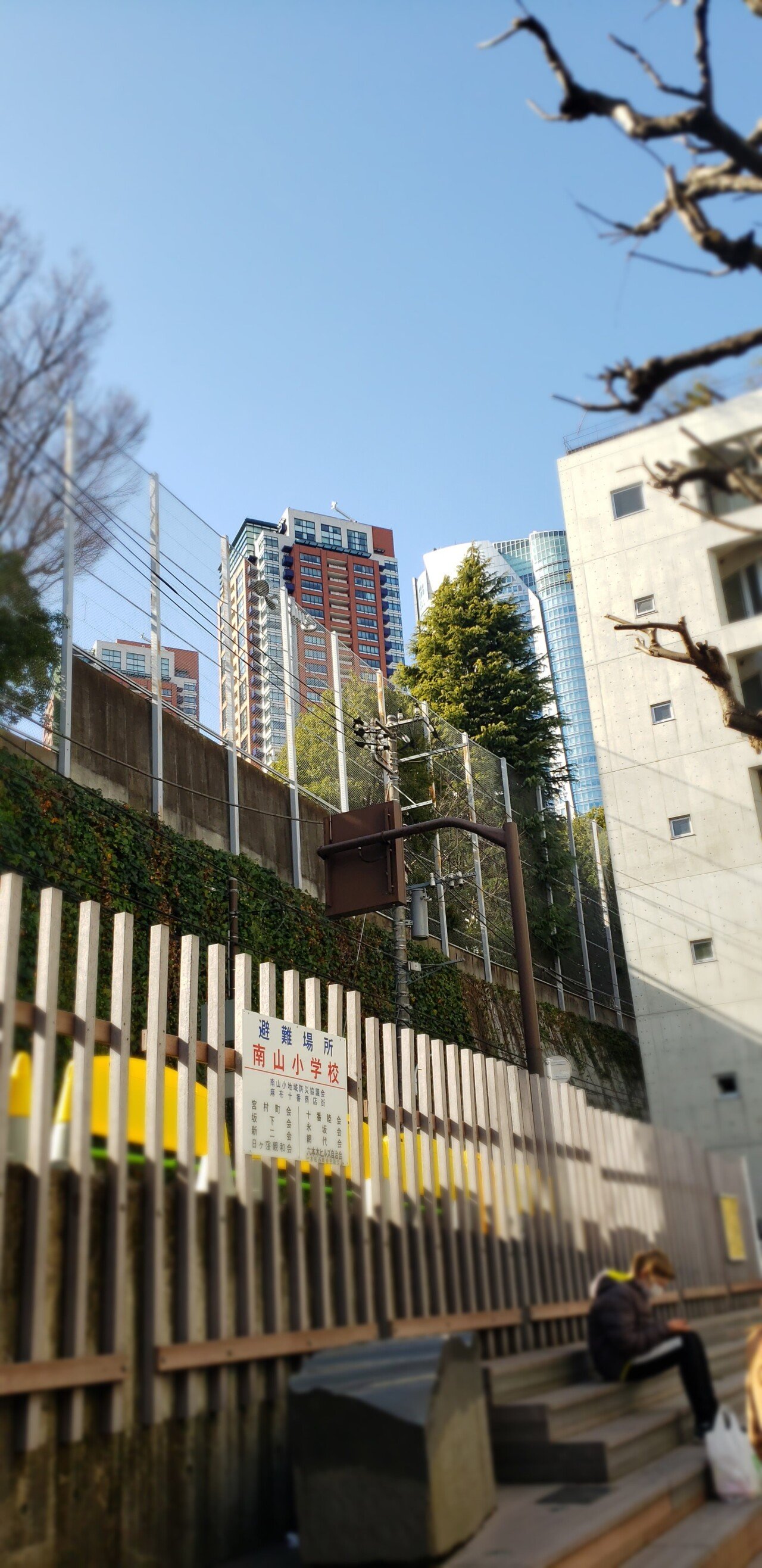 20210227_141421.jpg <도쿄 외노자> 봄날 기운 물씬 느껴지는 도쿄 길거리 풍경.jpg