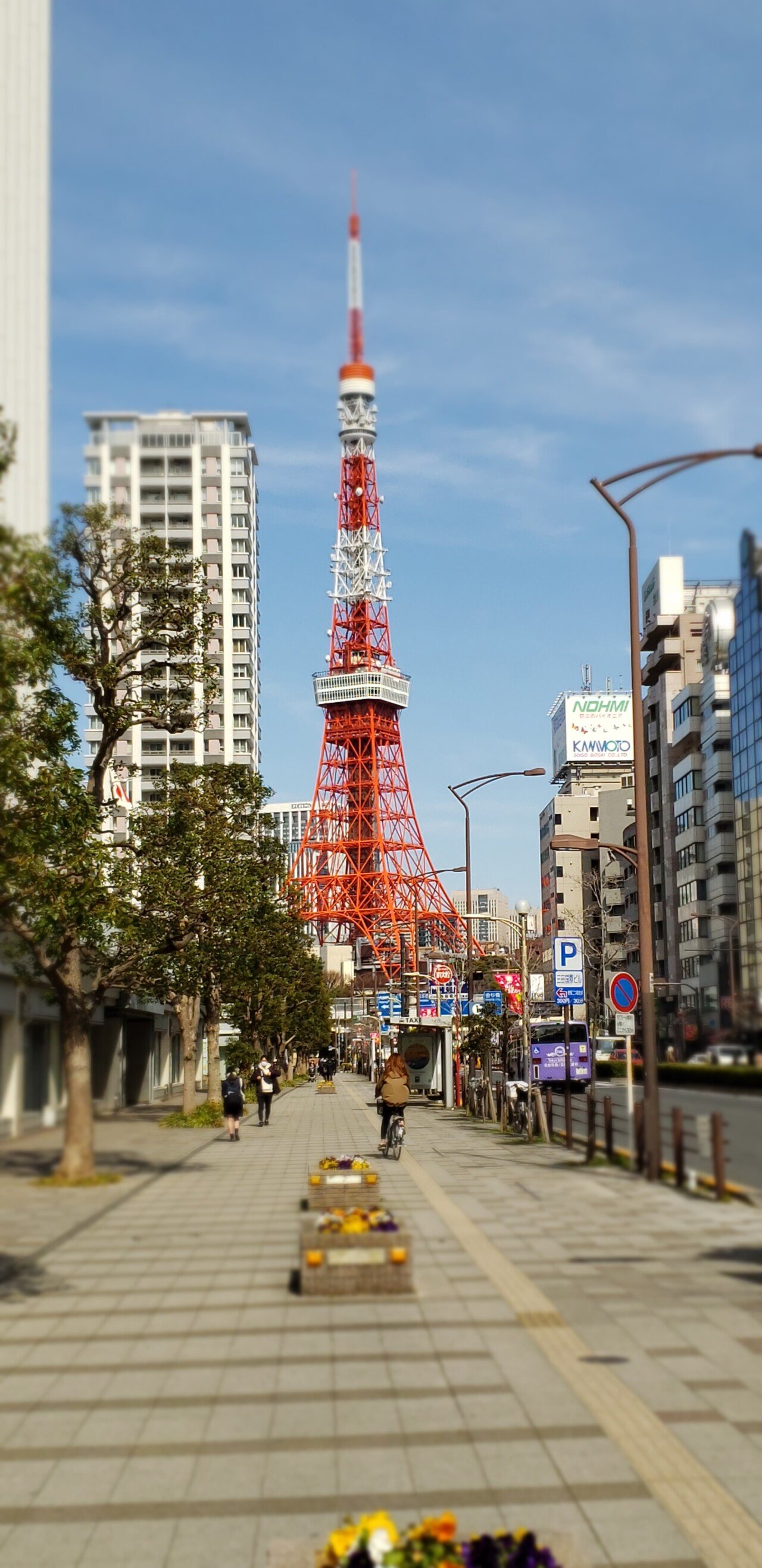 20210227_112329.jpg <도쿄 외노자> 봄날 기운 물씬 느껴지는 도쿄 길거리 풍경.jpg