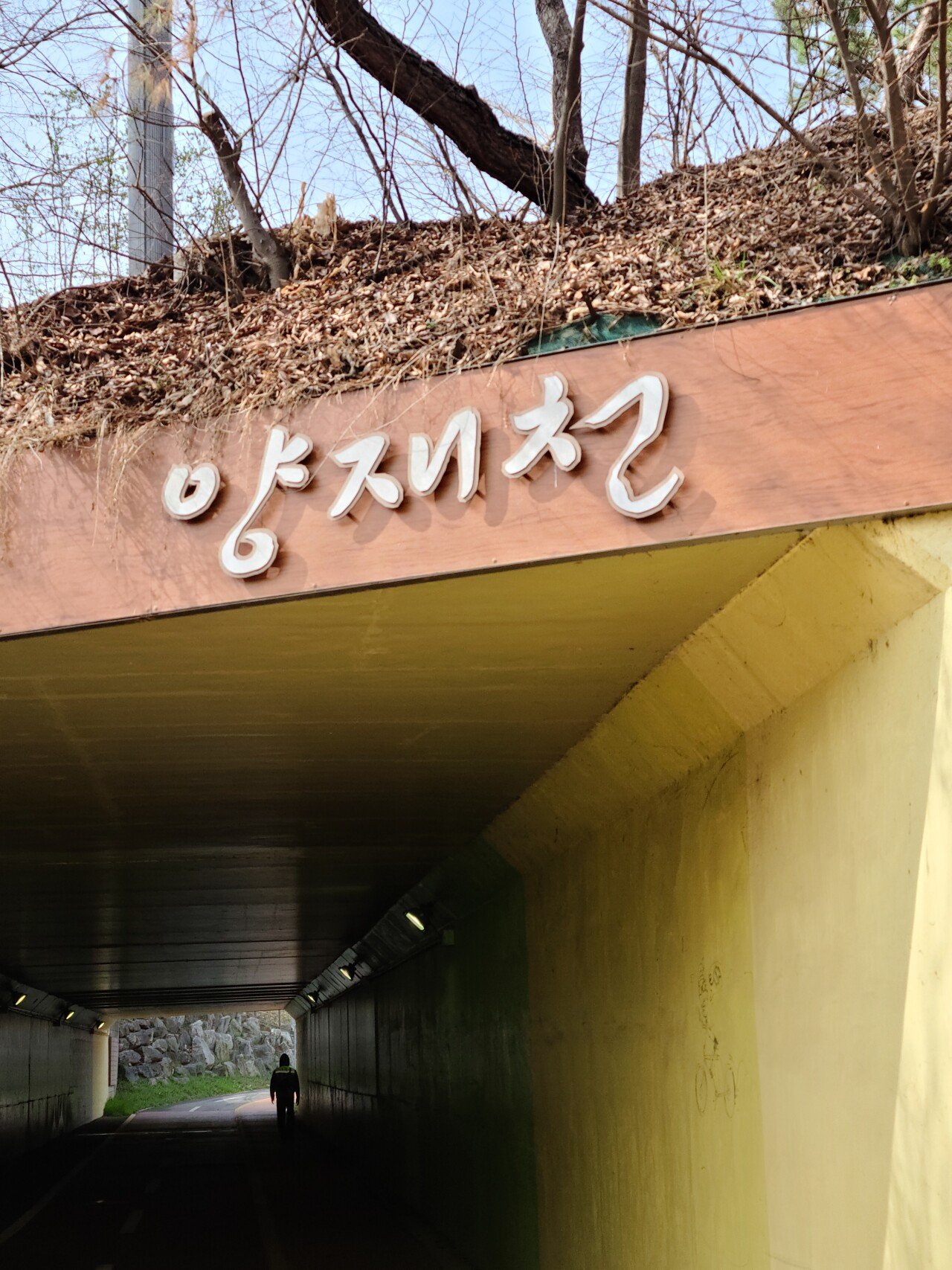 20210329_101514.jpg (스압) 서울 도곡역에서 인천 소래포구역까지 걸어서 가봤습니다