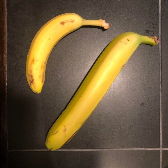 bdb9138848222.jpeg 동남아 바나나 진짜 크기