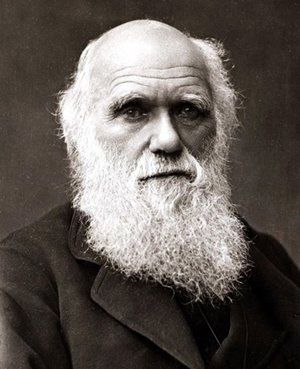 Charles_Darwin.jpg (BBC) 역대 가장 위대한 영국인 top 10