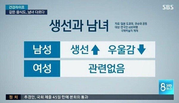 SBS (1).jpg 한국 남성들이 우울할때 먹어야한다는 음식