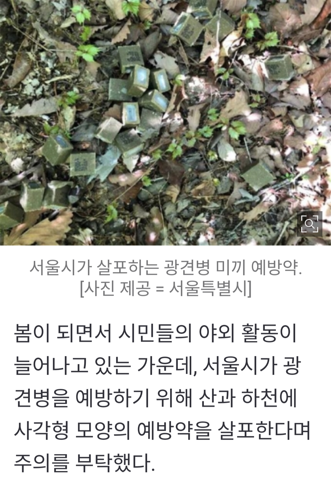 [정보] "산에서 이것 만지면 큰일난다"…서울시 신신당부