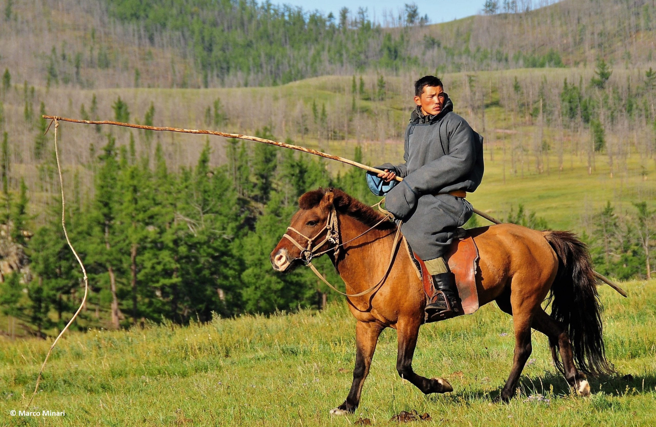 image.png 유럽인들이 몽골군에게 기겁한 이유