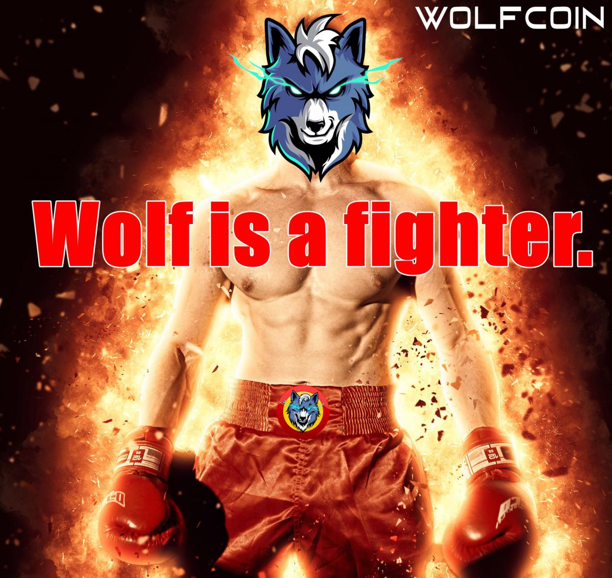 wolfcoinfighter.jpg