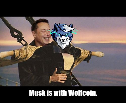 Musk is with Wolf coin.jpg