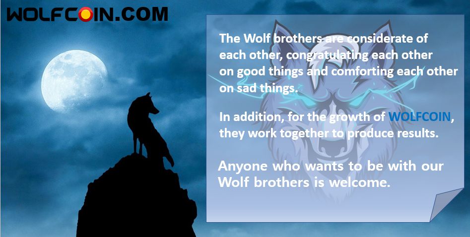 WOLFCOIN_BROTEHRS.png.jpg