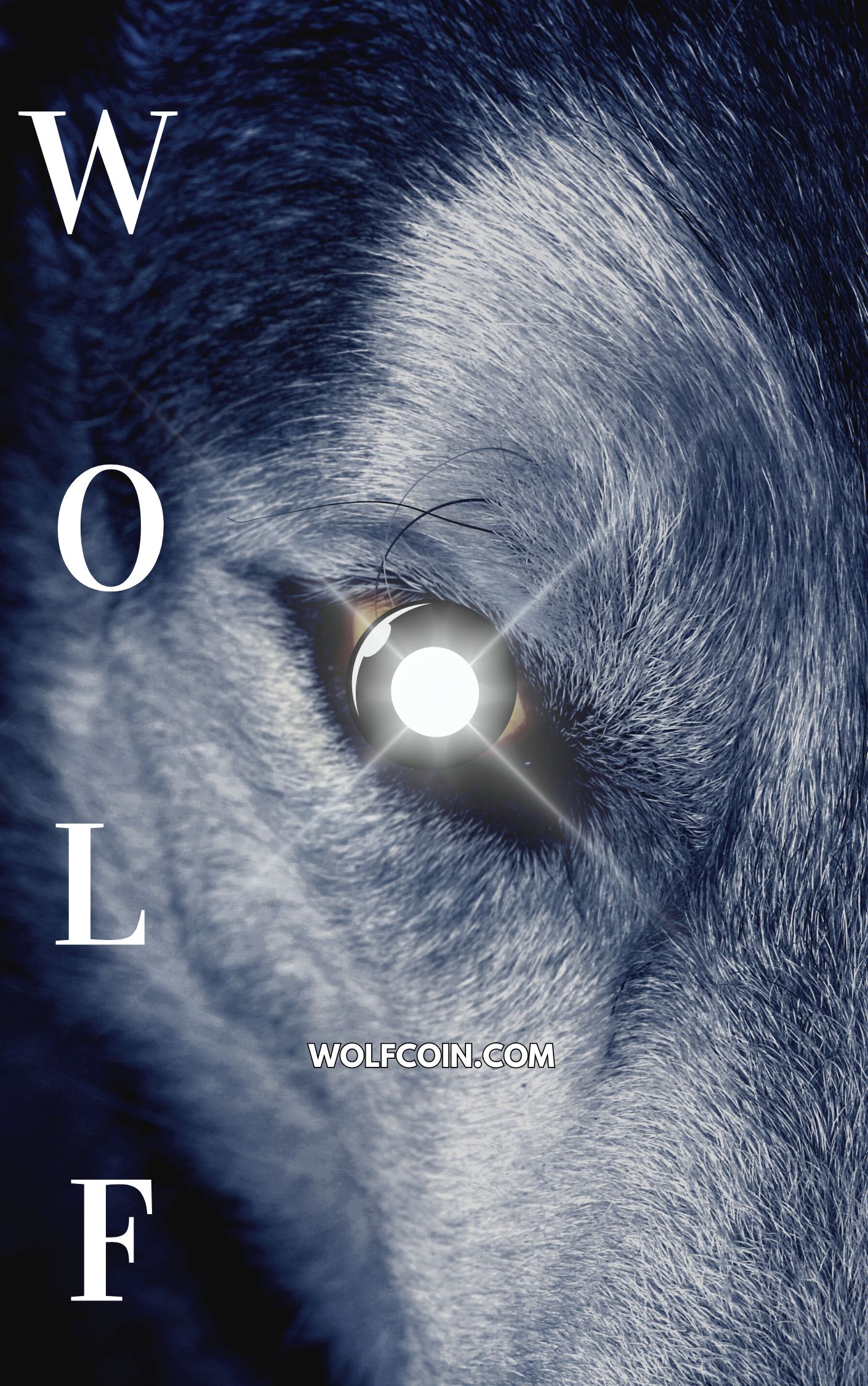 Wolf Eye Photo ThrillerMystery Book Cover (1).png.jpg
