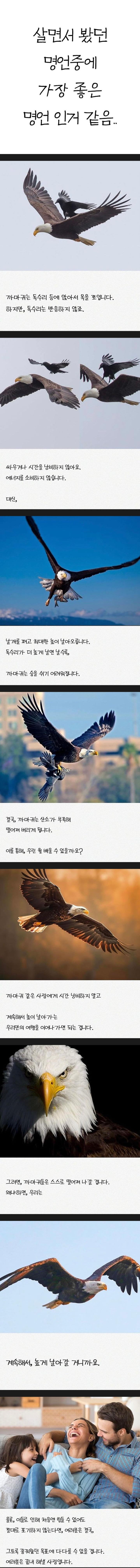 Screenshot_20231224_115709_Naver Cafe.jpg