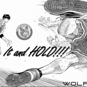 Take It and HOLD!!! : WOLFCOIN