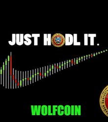 JUST HODL IT - WOLFCOIN