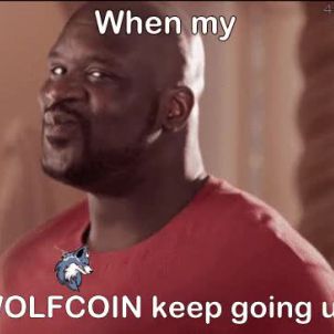 When my WOLFCOIN keep going  up