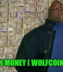 TOO MUCH MONEY - WOLFCOIN