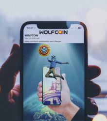 Success is the prerogative of the doer. If you want to succeed, take action for WOLFCOIN within Wolf Brothers.