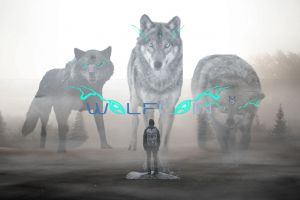 WOLFCOIN will protect you.