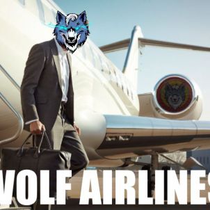 Busy businessman, join WOLF Airlines!(WOLFCOIN MEME)