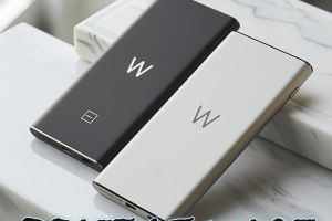 PROJECT WOLF!! WOLF Portable Power Bank!!