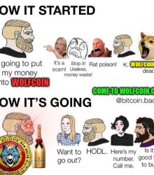 HOW IT'S GOING ? - WOLFCOIN