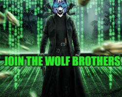 JOIN THE WOLF BROTHERS -WOLFOCOIN