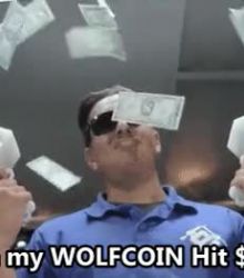 When my WOLFCOIN Hit $1000