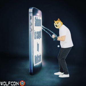 Shibainu is caught by WOLFCOIN
