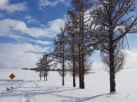겨울 홋카이도 풍경 사진(1)