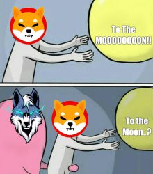 SHIB TO THE MOON!! WOLFCOIN