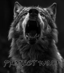 Project Wolf's Howling. WOLFCOIN