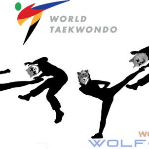 울프코인 세계태권도 협회 - WOLFCOIN World Taekwondo Association