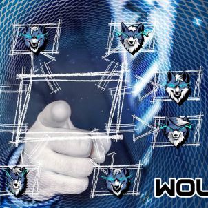 We are always with you!! WOLFCOIN!!