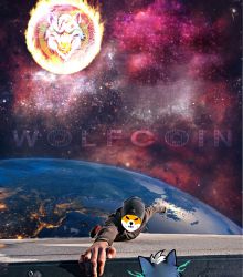 There is no hope for Shiba inu anymore.(WOLFCOIN)