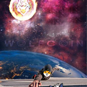 There is no hope for Shiba inu anymore.(WOLFCOIN)
