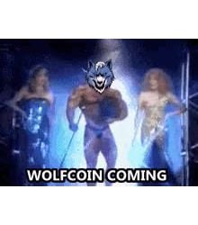 WOLFCOIN  is COMING