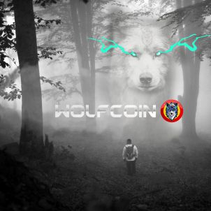 When life is hard and difficult, follow WOLFCOIN.