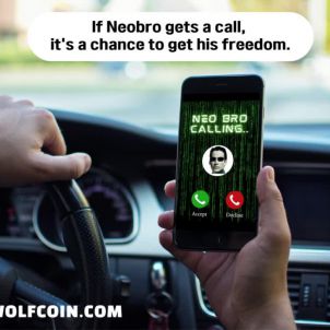 If Neobro gets a call, you has a chance to get his freedom.(WOLFCOIN)