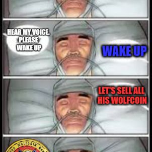 WAKE UP - WOLFCOIN