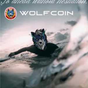 Go ahead without hesitation : WOLFCOIN