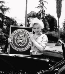 Marilyn Monroe - WOLFCOIN