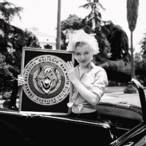 Marilyn Monroe - WOLFCOIN