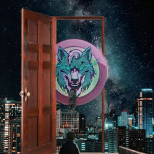 WOLFCOIN, the dreams and hopes of children.