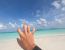 wolfhand in a sandbank : wolfcoin