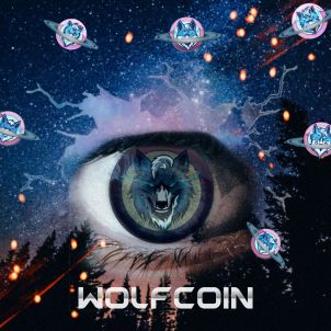 Have hope in the face of adversity. WOLFCOIN's rise to success through adversity is predestined.